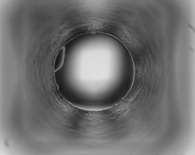 X0000099481153200805091602