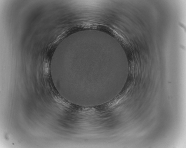 X0000099481154200805091602