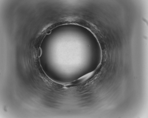 X0000099481158200805091602