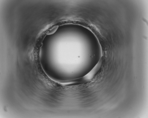 X0000099481159200805091602