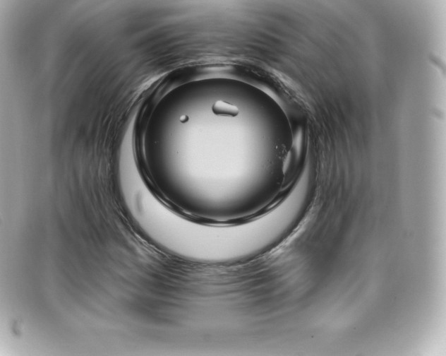 X0000099481161200805091602