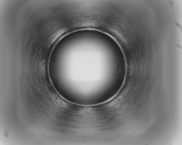 X0000099481162200805091602