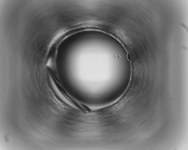 X0000099481164200805091602