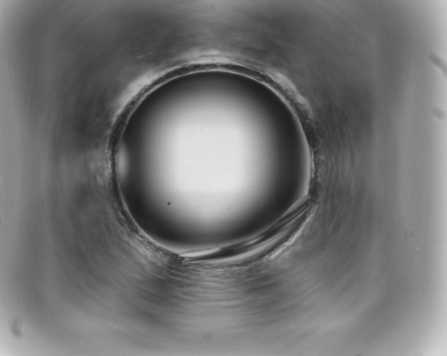 X0000099481167200805091602