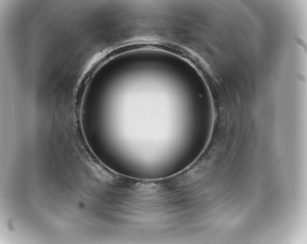 X0000099481168200805091602