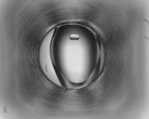 X0000099481169200805091602