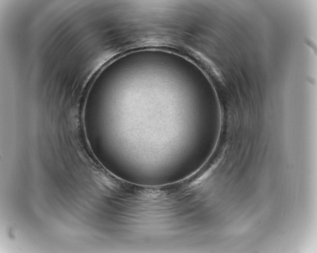 X0000099481170200805091602