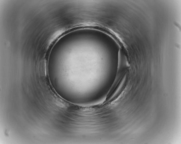 X0000099481171200805091602