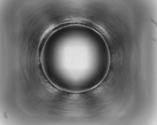 X0000099481172200805091602