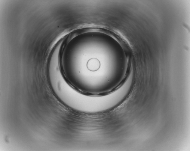 X0000099481173200805091602