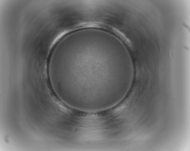 X0000099481174200805091602