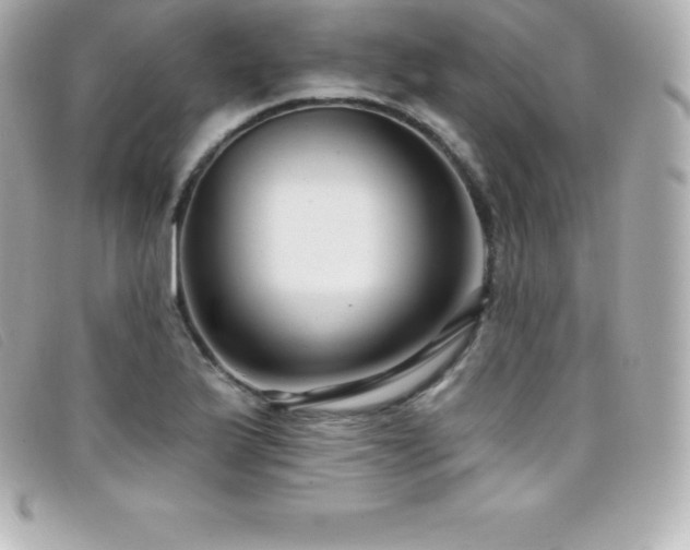 X0000099481175200805091602