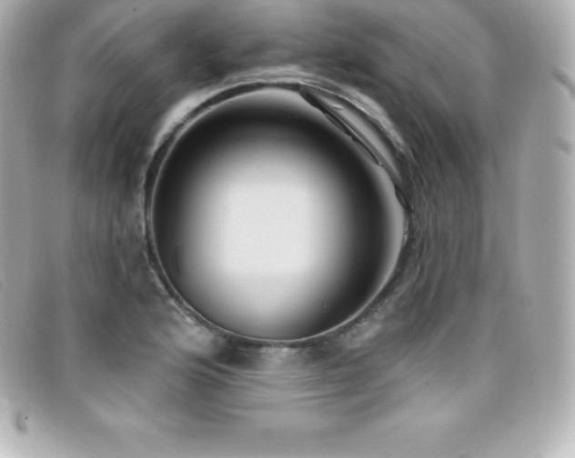 X0000099481176200805091602