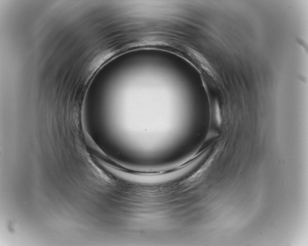 X0000099481177200805091602
