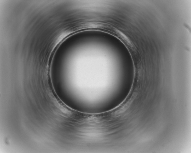 X0000099481178200805091602