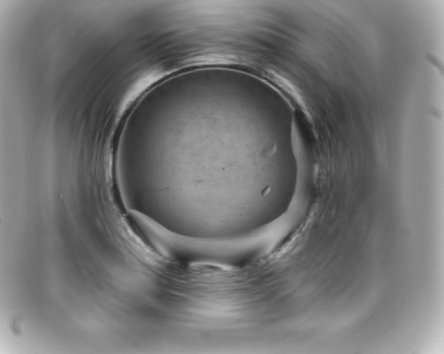 X0000099481179200805091602