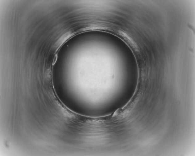 X0000099481185200805091602