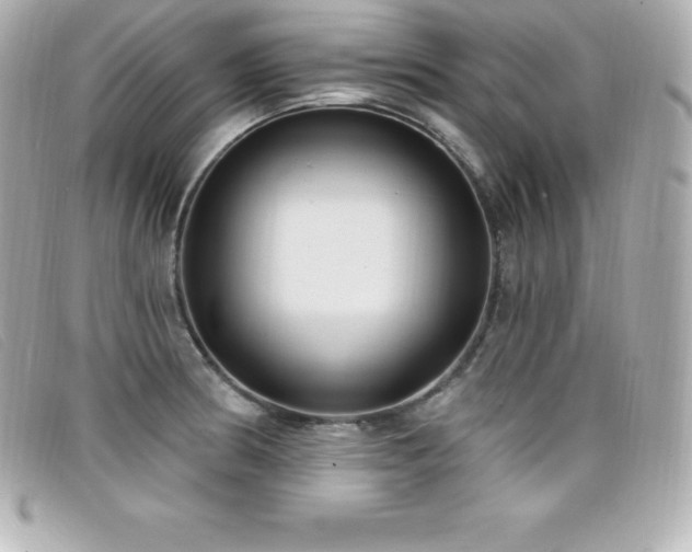 X0000099481186200805091602