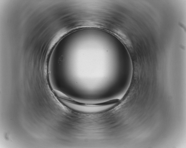 X0000099481188200805091602