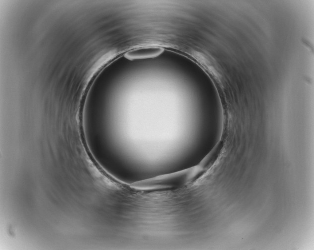 X0000099481189200805091602