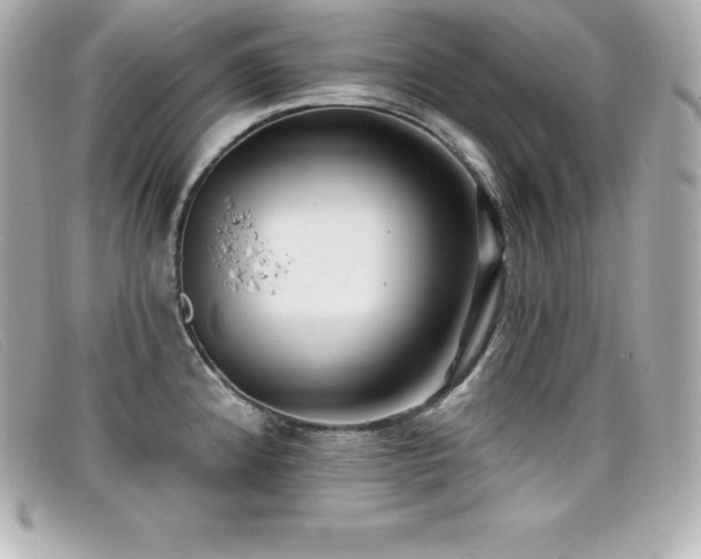 X0000099481192200805091602