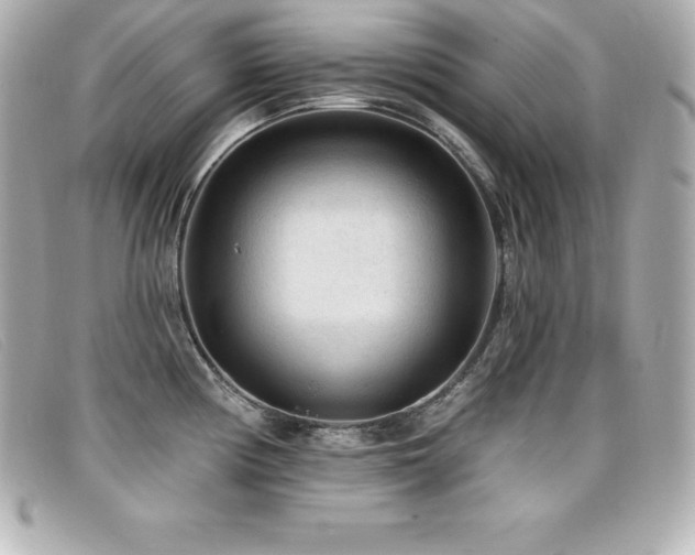 X0000099481194200805091602