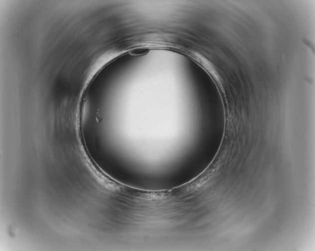 X0000099481195200805091602