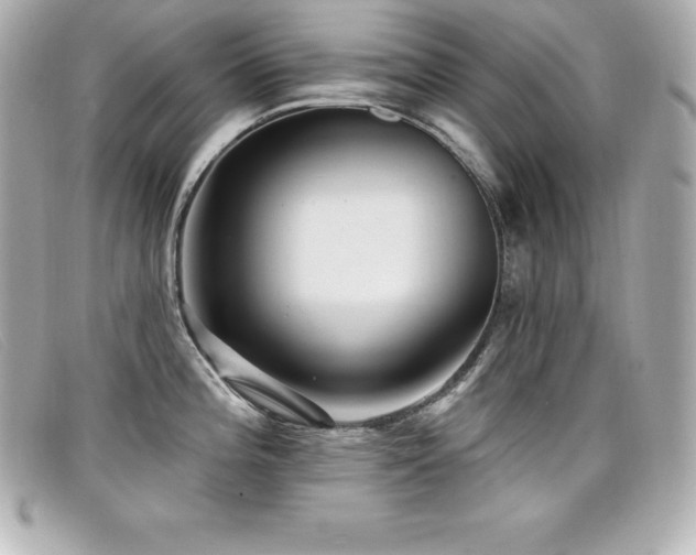 X0000099481196200805091602