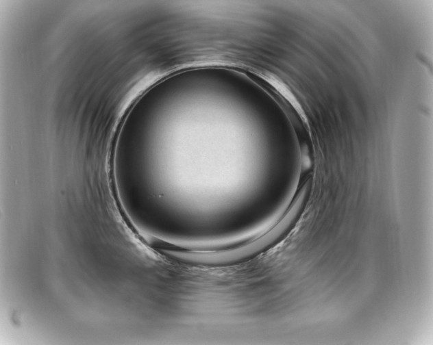 X0000099481197200805091602