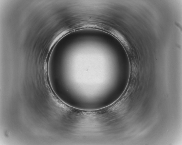 X0000099481198200805091602