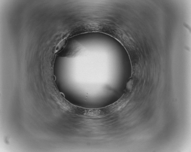 X0000099481201200805091601