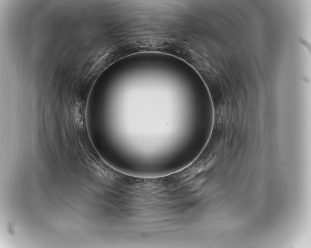 X0000099481202200805091601