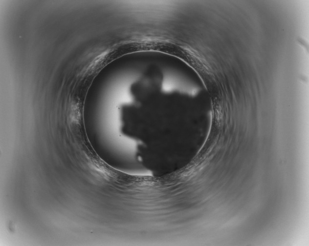 X0000099481204200805091601