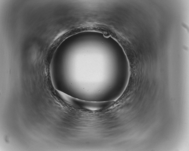 X0000099481206200805091601