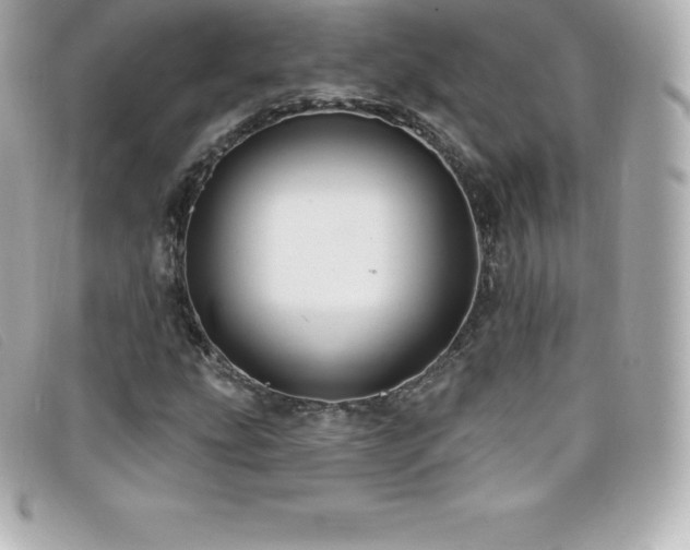 X0000099481207200805091601