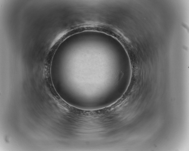 X0000099481208200805091601