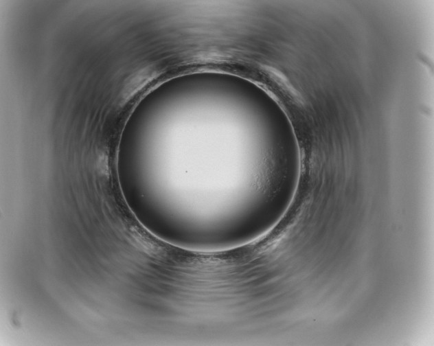 X0000099481209200805091601