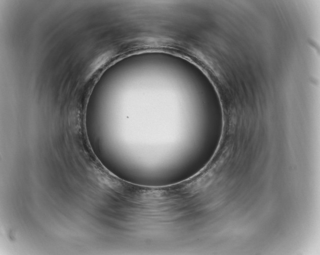 X0000099481211200805091601