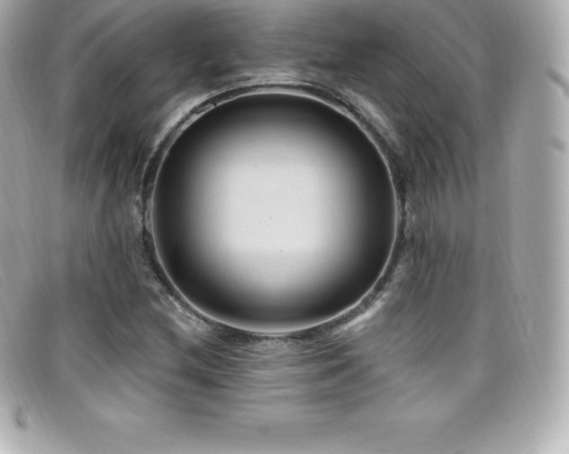 X0000099481212200805091601