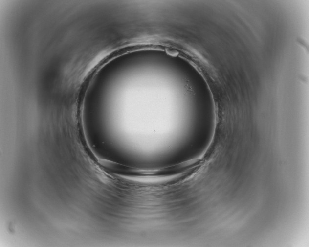 X0000099481216200805091601