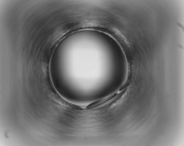 X0000099481217200805091601