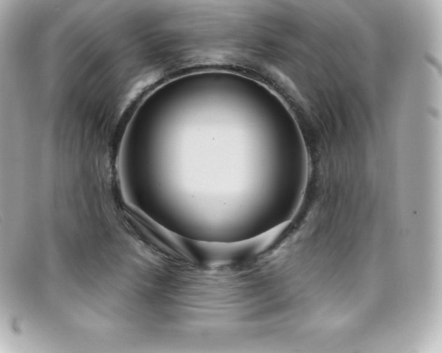X0000099481218200805091601