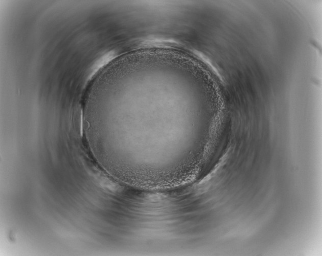 X0000099481219200805091601