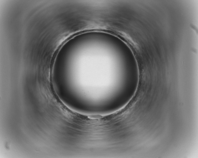 X0000099481220200805091601