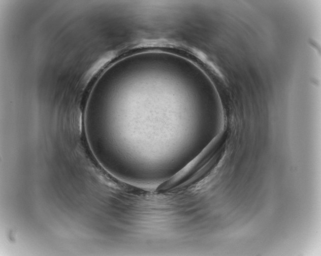 X0000099481221200805091601