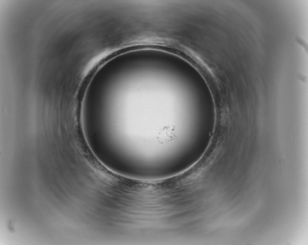 X0000099481222200805091601
