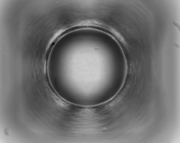 X0000099481224200805091601