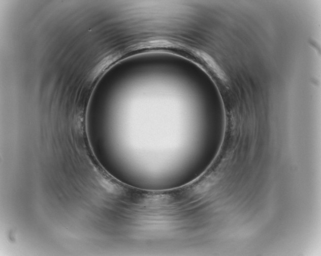 X0000099481225200805091601