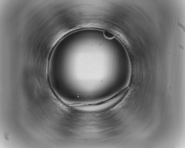 X0000099481228200805091601