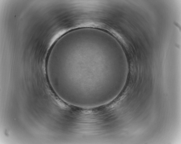 X0000099481230200805091601